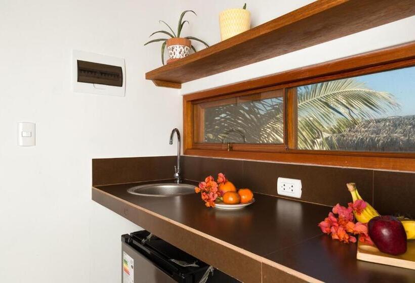 غرفة قياسية, Alas Y Arena