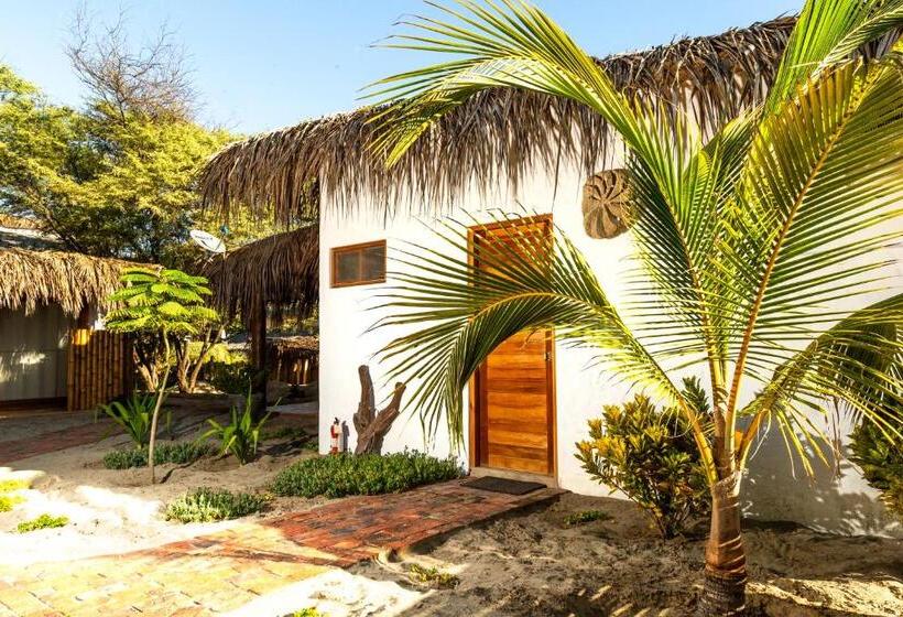 غرفة ديلوكس, Alas Y Arena