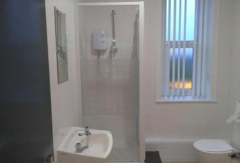 バスルーム共有のシングルスタンダード, Newcastle West Hotel & Bar