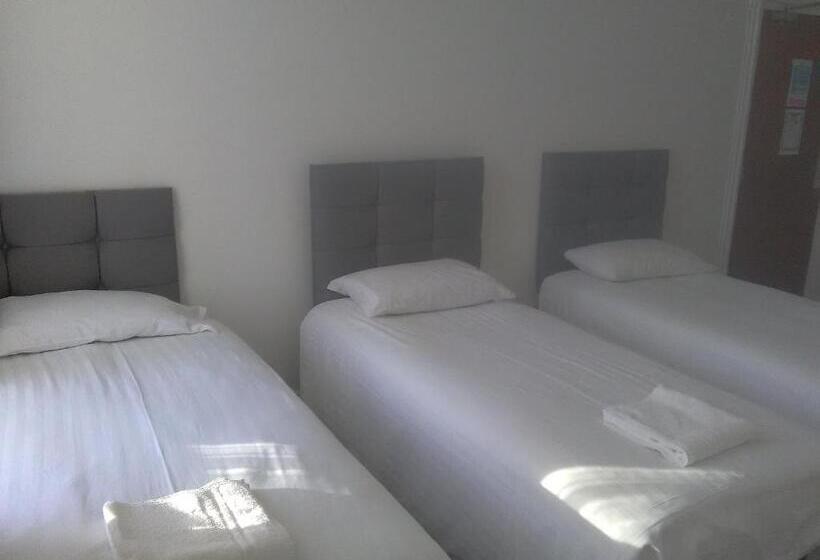 غرفة قياسية ثلاثية, Newcastle West Hotel & Bar