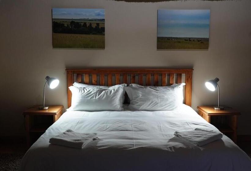 غرفة كومفورت, Francolin Creek