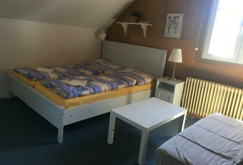 バス共有のスタンダードルーム, Turistická Chata Pláně