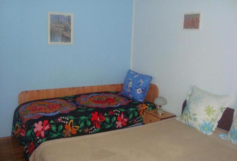 스탠다드 트리플 룸, Pensiunea Nicky