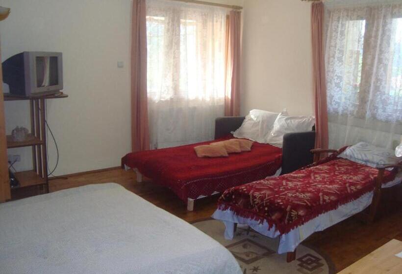 4인용 스탠다드 룸, Pensiunea Nicky