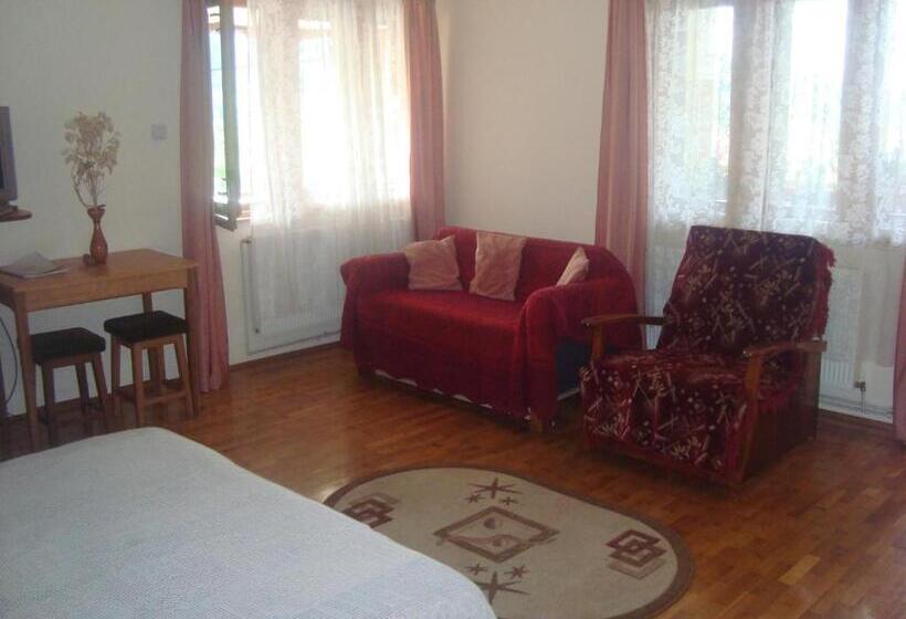 4인용 스탠다드 룸, Pensiunea Nicky