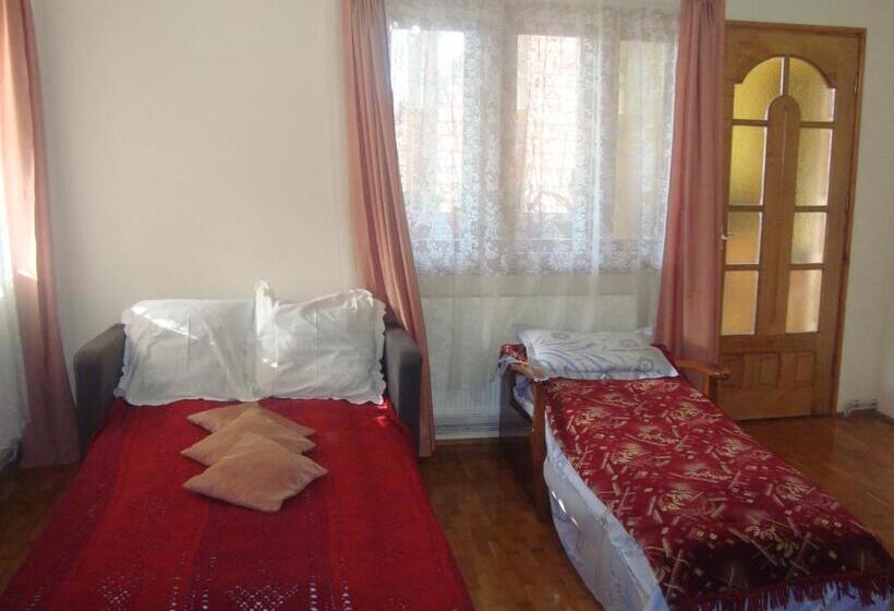 4인용 스탠다드 룸, Pensiunea Nicky