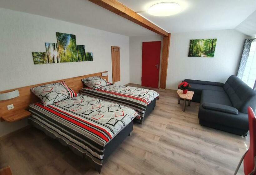 Номер Стандарт, Gasthof Schwanen Radelfingen