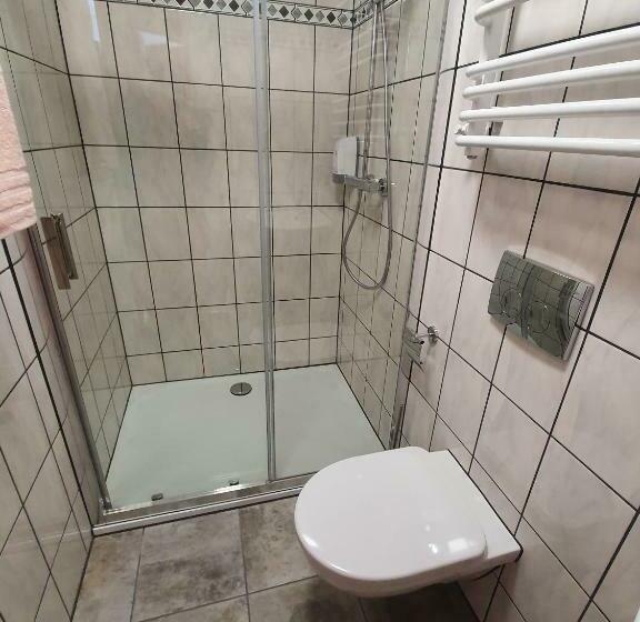 Номер Стандарт с Гидромассажем, Gasthof Schwanen Radelfingen