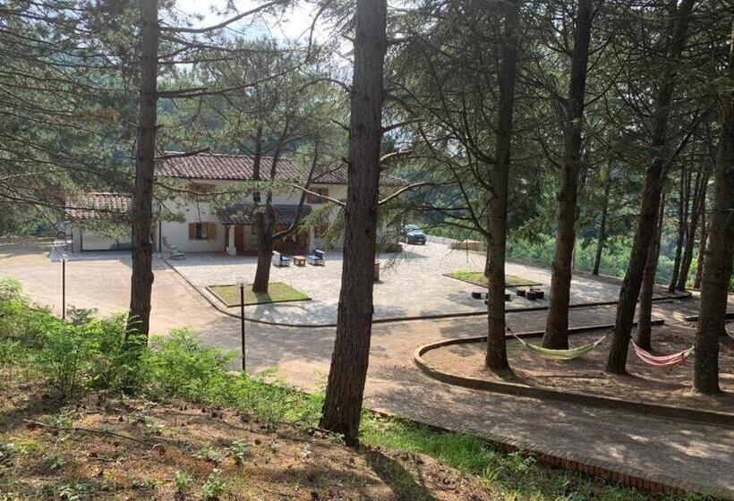 スタンダードルーム, B&b Villa Bianca