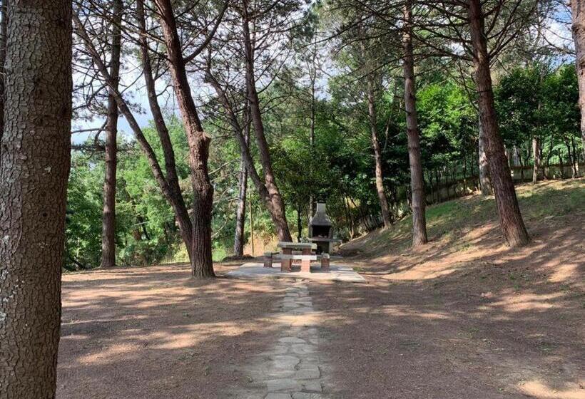 スタンダードルーム, B&b Villa Bianca