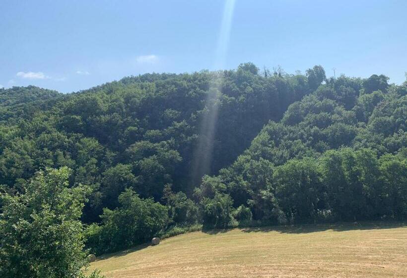 スタンダードトリプルルーム, B&b Villa Bianca