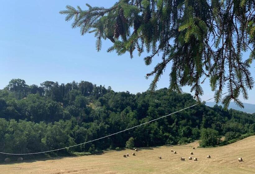 スタンダードトリプルルーム, B&b Villa Bianca