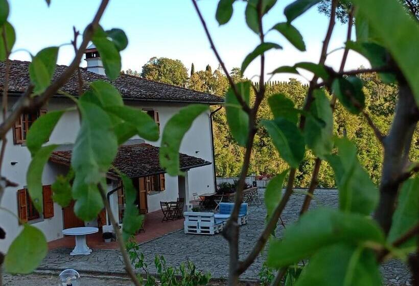 Вилла Superior 1 Спальня, B&b Villa Bianca