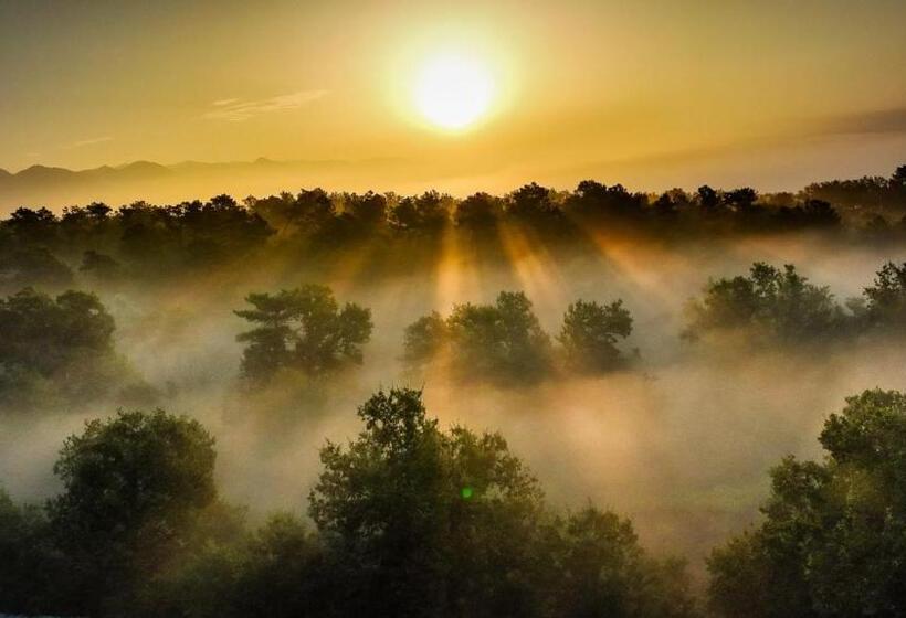 スーペリアー１ベッドルームビラ, B&b Villa Bianca