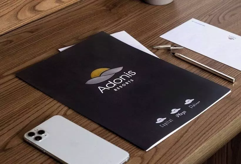 اتاق استاندارد سه نفره, Adonis Capital