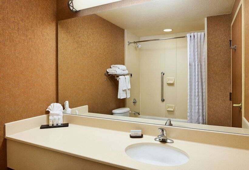 Sviitti Liikuntarajoitteisille, Embassy Suites By Hilton Charleston Airport Convention Ctr