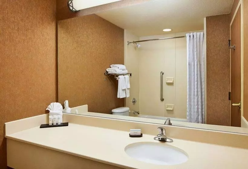 身障者適用スイートルーム, Embassy Suites By Hilton Charleston Airport Convention Ctr