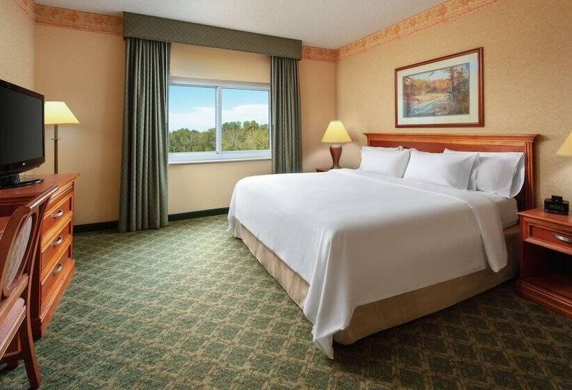 Sviitti King-vuode, Embassy Suites By Hilton Charleston Airport Convention Ctr