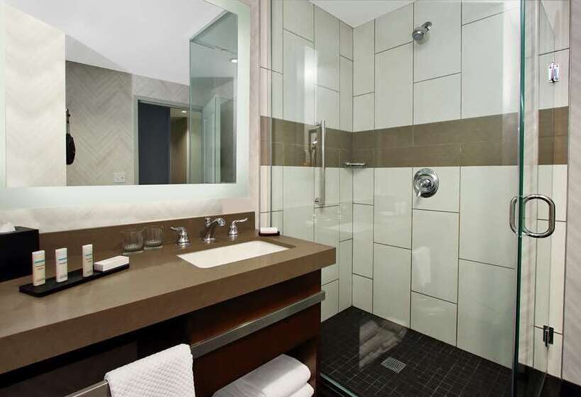 Sviitti King-vuode, Embassy Suites By Hilton Charleston Airport Convention Ctr