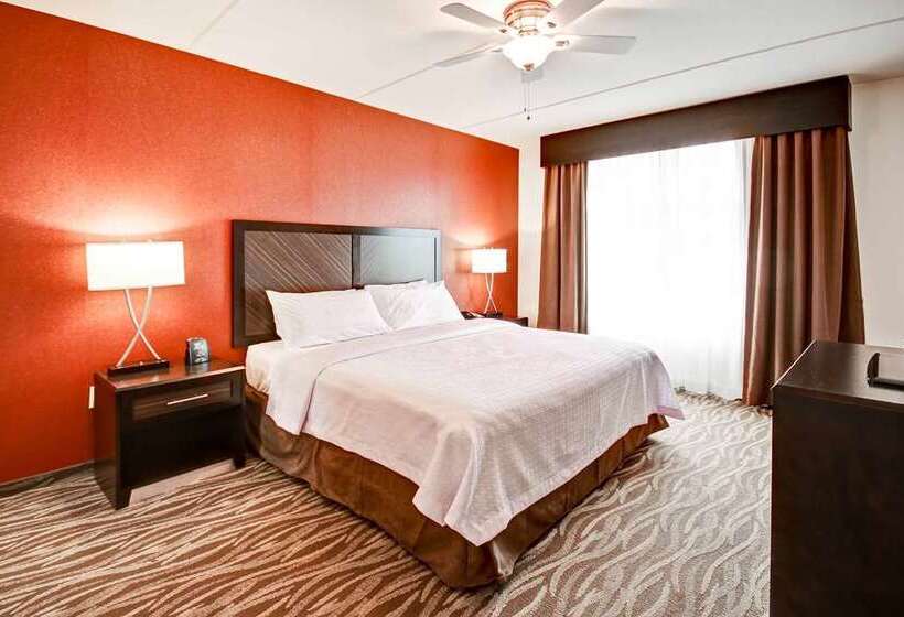 Sviitti King-vuode, Embassy Suites By Hilton Charleston Airport Convention Ctr