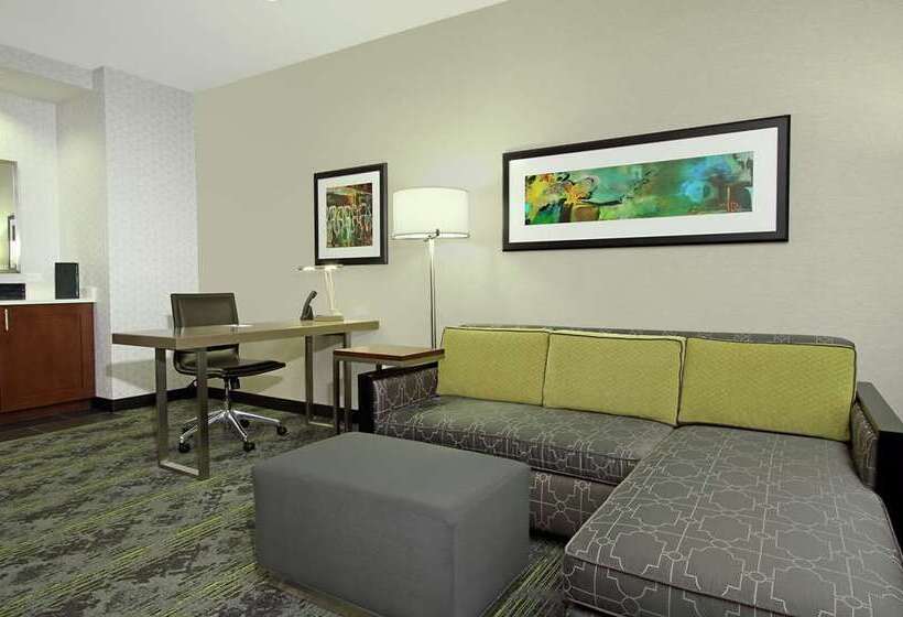 Sviitti King-vuode, Embassy Suites By Hilton Charleston Airport Convention Ctr