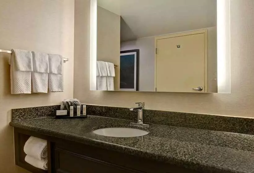 プレミアムスイート, Embassy Suites By Hilton Charleston Airport Convention Ctr