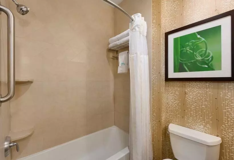 اتاق استاندارد با 2 تخت دوبل, Hilton Garden Inn Abilene