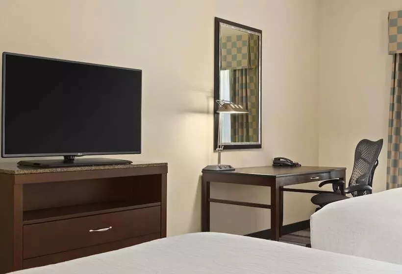 اتاق استاندارد با 2 تخت دوبل, Hilton Garden Inn Abilene