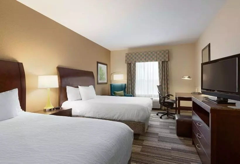 اتاق استاندارد با 2 تخت دوبل, Hilton Garden Inn Abilene