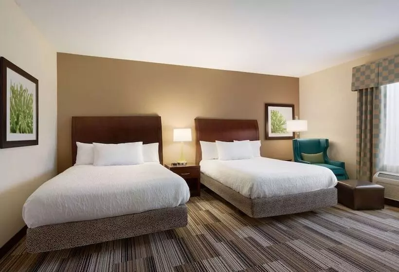 اتاق استاندارد با 2 تخت دوبل, Hilton Garden Inn Abilene