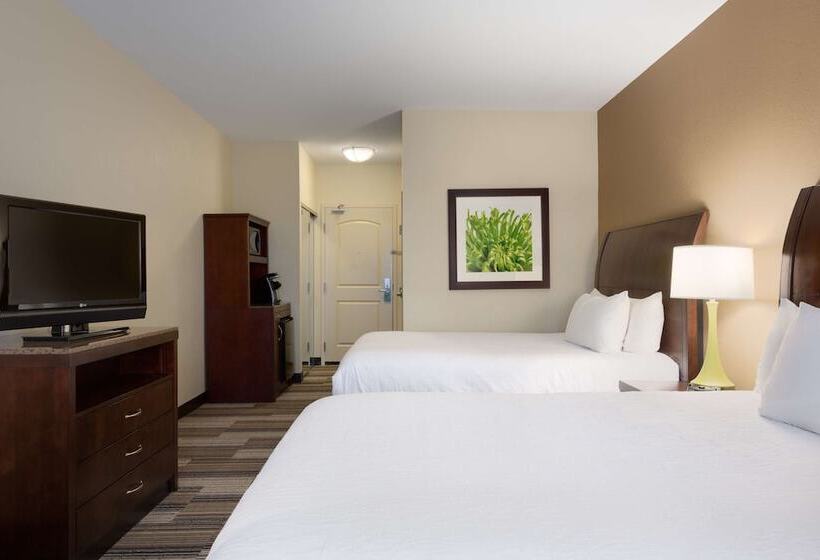 İki Çift Kişilik Yataklı Standart Oda, Hilton Garden Inn Abilene