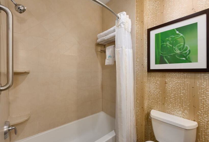 غرفة قياسية, Hilton Garden Inn Abilene