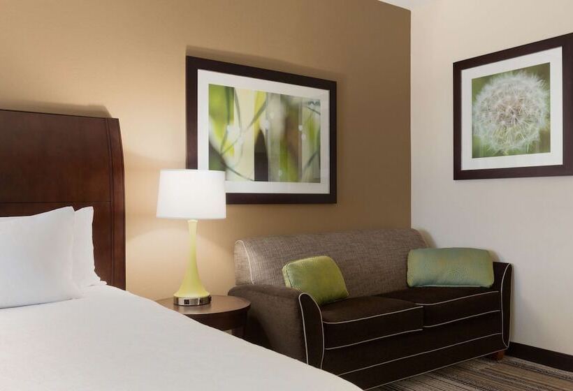 Standart Oda, Hilton Garden Inn Abilene