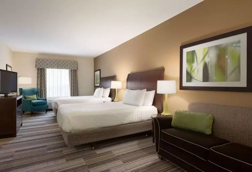 اتاق استاندارد با 2 تخت دوبل, Hilton Garden Inn Abilene
