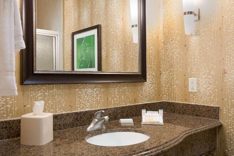 Büyük Çift Kişilik Yataklı Standart Oda, Hilton Garden Inn Abilene