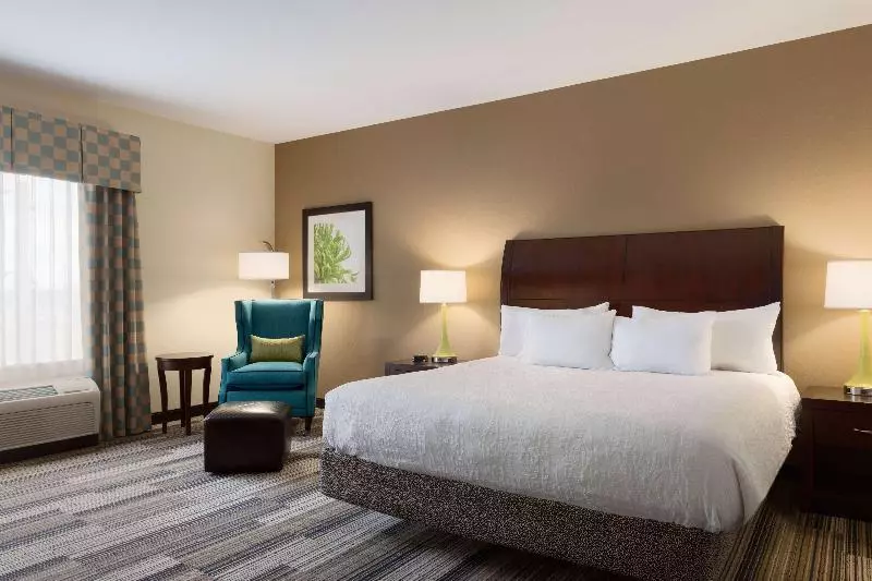 اتاق استاندارد با تخت بزرگ, Hilton Garden Inn Abilene