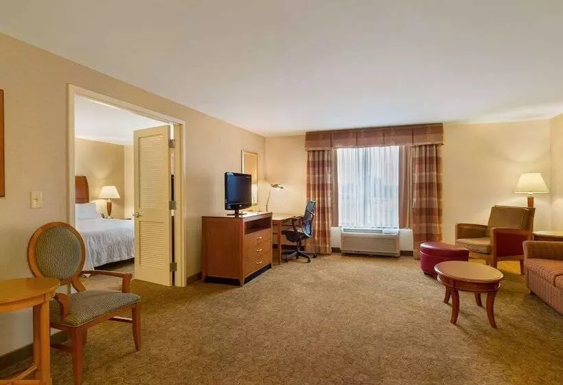 Sviitti Liikuntarajoitteisille, Hilton Garden Inn Cleveland East/mayfield Village