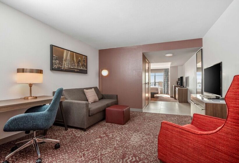 جناح جونيور, Hilton Garden Inn Dallas Allen