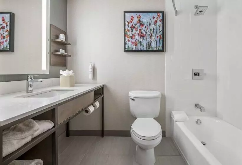 Standard-huone, Hilton Garden Inn Dallas Allen