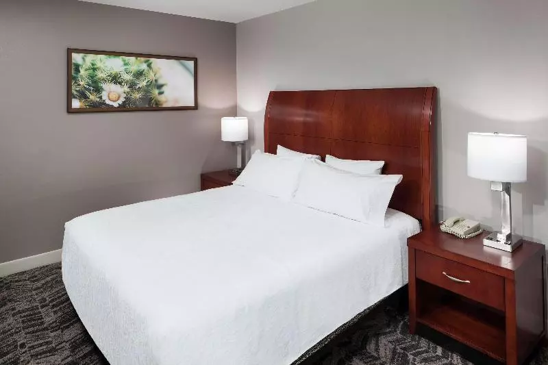 Standard-huone King-vuode, Hilton Garden Inn Dallas Allen