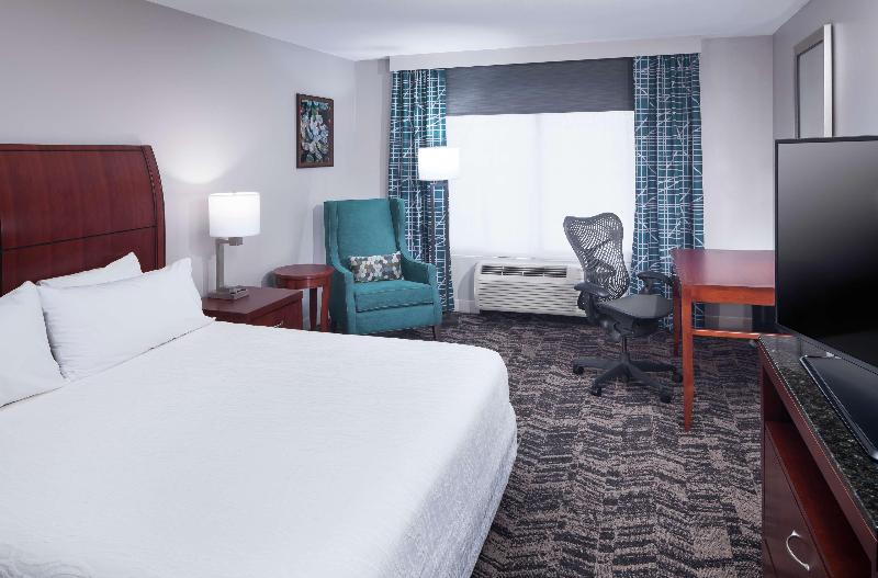 חדר סטנדרט עם מיטת קינג, Hilton Garden Inn Dallas Allen