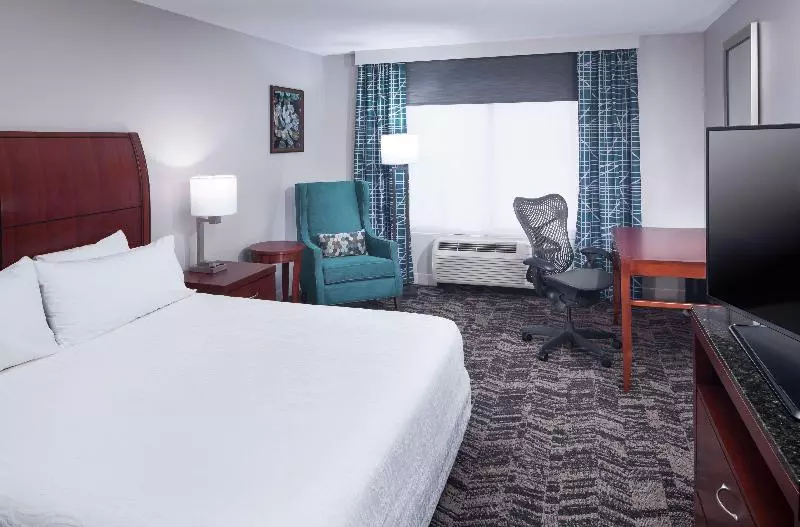Standard-huone King-vuode, Hilton Garden Inn Dallas Allen