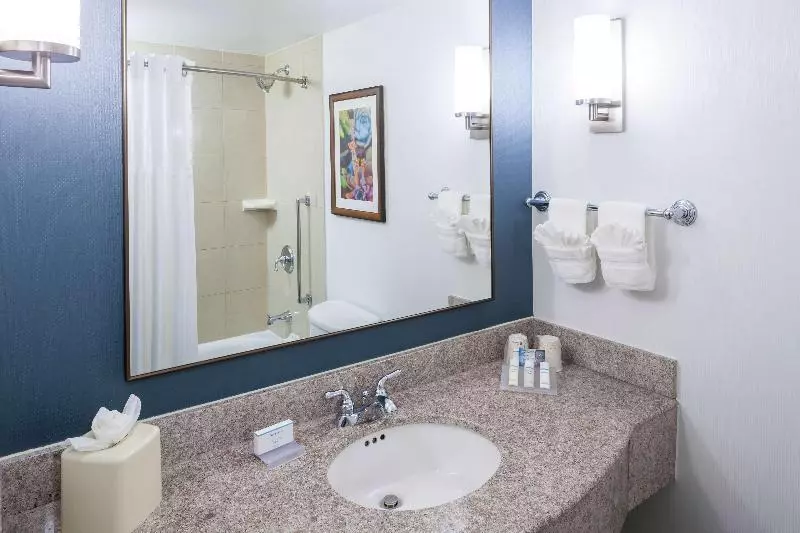 Standard-huone King-vuode, Hilton Garden Inn Dallas Allen