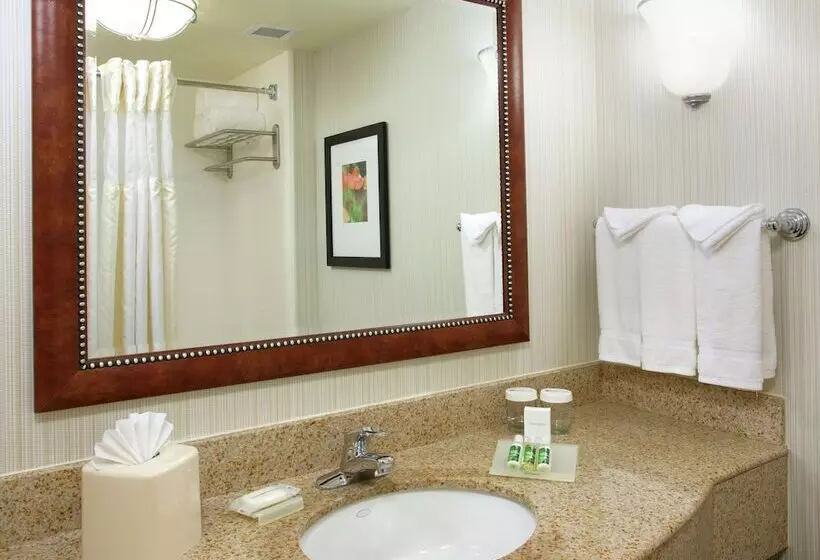 スタンダードルーム, Hilton Garden Inn Gainesville