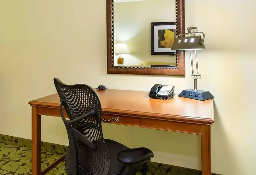 スタンダードルーム, Hilton Garden Inn Gainesville