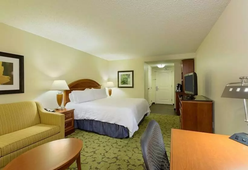 スタンダードルーム, Hilton Garden Inn Gainesville