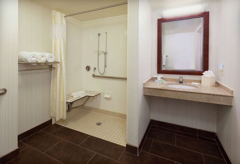 غرفة قياسية لذوى الاحتياجات الخاصة, Hilton Garden Inn Gainesville