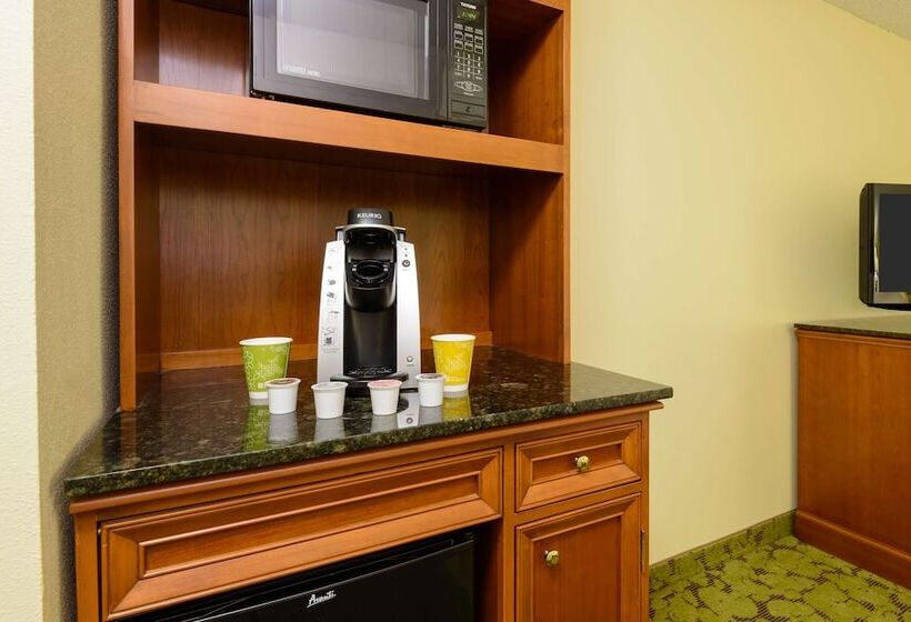 غرفة قياسية لذوى الاحتياجات الخاصة, Hilton Garden Inn Gainesville