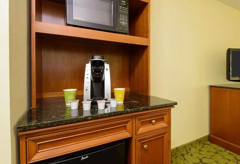 身障者適用スタンダードルーム, Hilton Garden Inn Gainesville