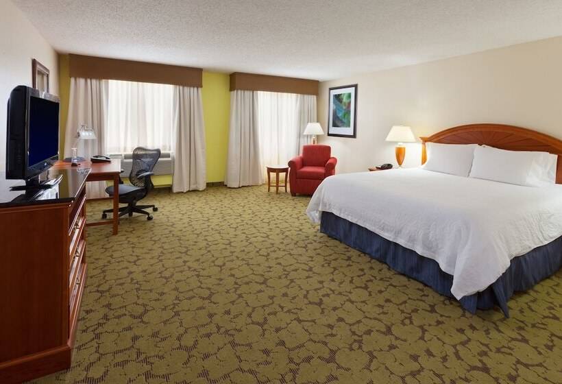Номер Стандарт Адаптированный для Инвалидов, Hilton Garden Inn Gainesville